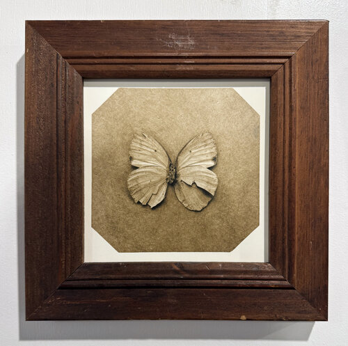 Ephemerality #117 by Paul Gadd, Photography for Sale on Singulart