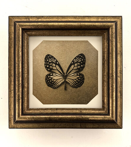 Ephemerality #77 by Paul Gadd, Photography for Sale on Singulart