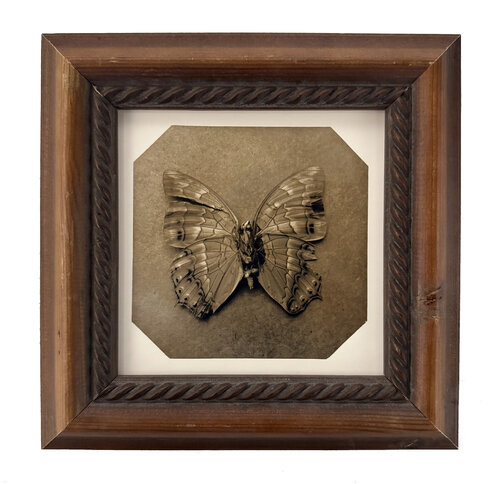 Ephemerality #85 by Paul Gadd, Photography for Sale on Singulart