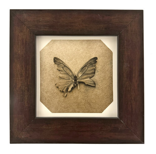 Ephemerality #122 par Paul Gadd, Photographie en vente sur Singulart