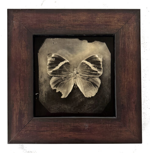 Ephemerality #37 (AP edition) par Paul Gadd, Photographie en vente sur Singulart