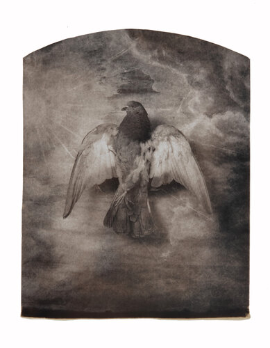 Caged bird by Paul Gadd, Photography for Sale on Singulart