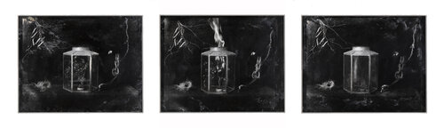 For what we sow by Paul Gadd, Photography for Sale on Singulart