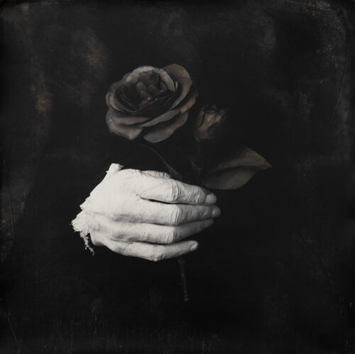 Machiavellian  (edition unique) by Paul Gadd, Photography for Sale on Singulart