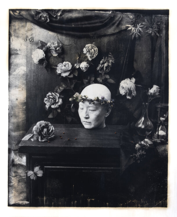 Vanitas #1 (1st edition) Paul Gadd