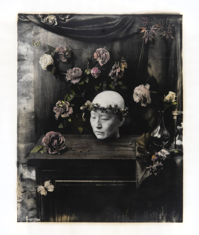 Vanitas #1 ( AP1 colour test) Paul Gadd