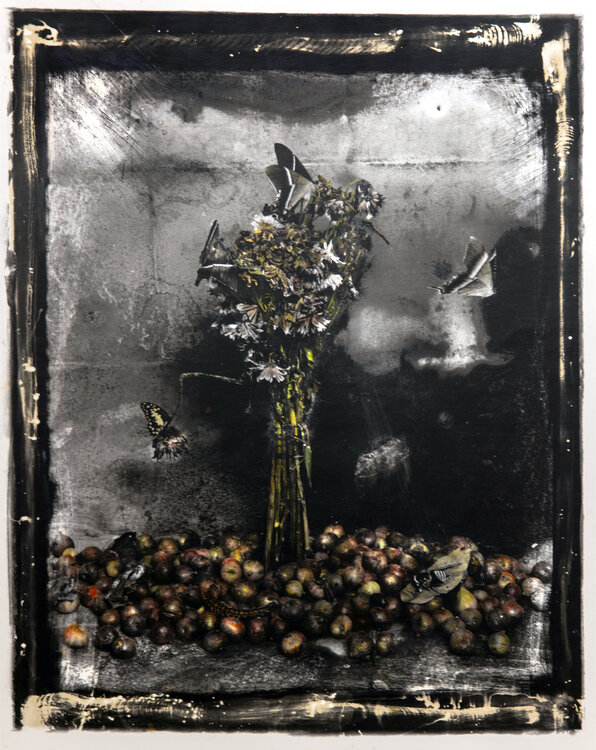 Inhabitants of fairyland (edition open no3) Paul Gadd