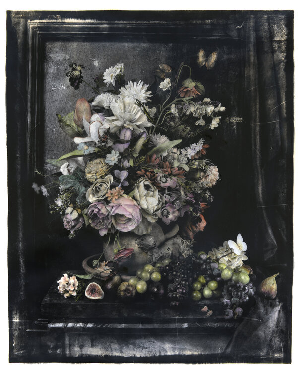 Anemoia (first edition) Paul Gadd