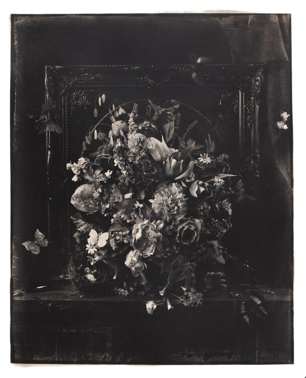 Still life #2 - Birth of Viivi (1st edition) Paul Gadd