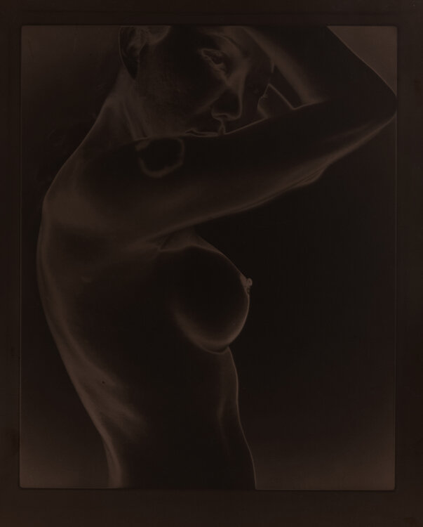 Untitled (Toned Sabattier print) Paul Gadd