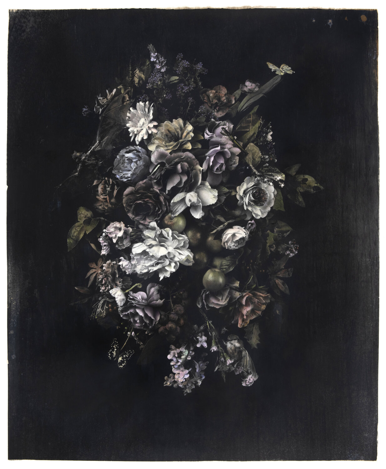 Still Life #1 Paul Gadd