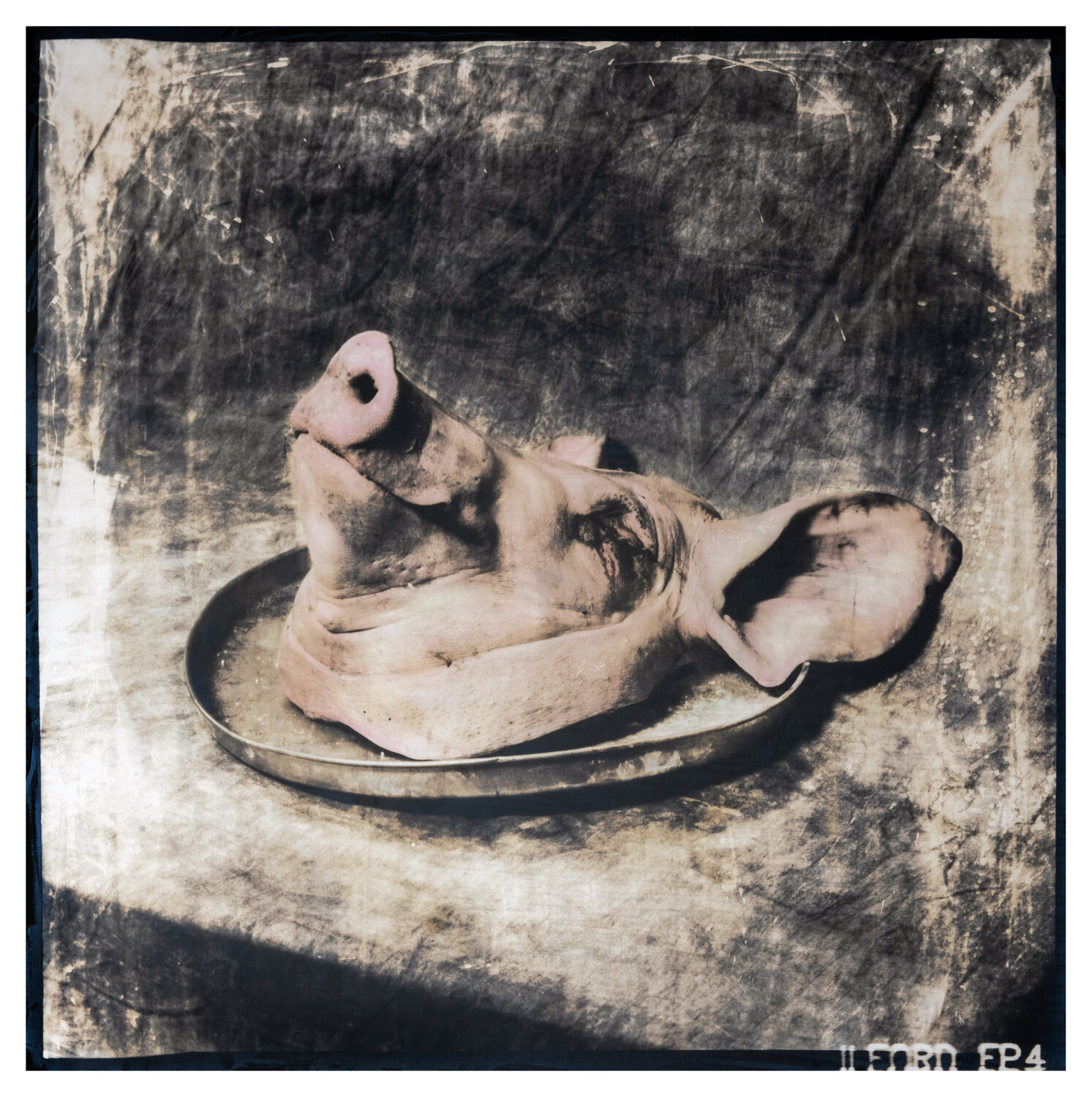 John (unique) Paul Gadd