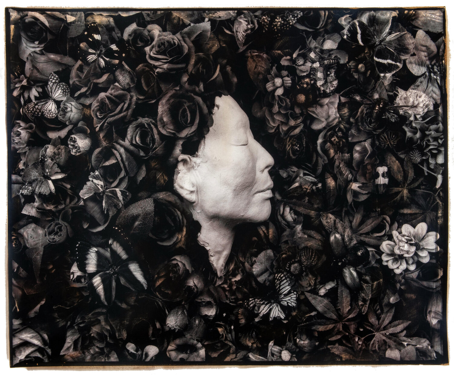 They (edition 2) Paul Gadd