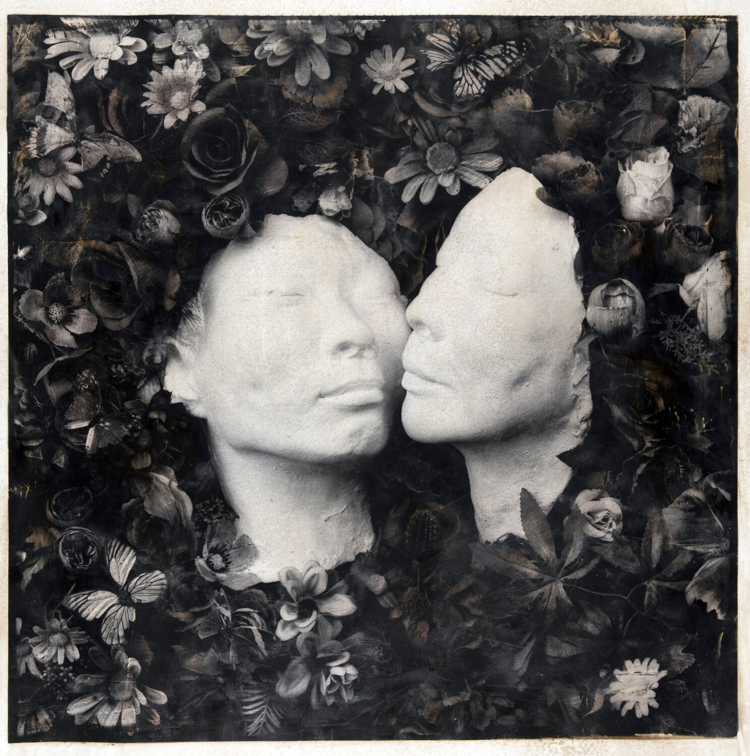 Narcissus gaze (1st edition) Paul Gadd