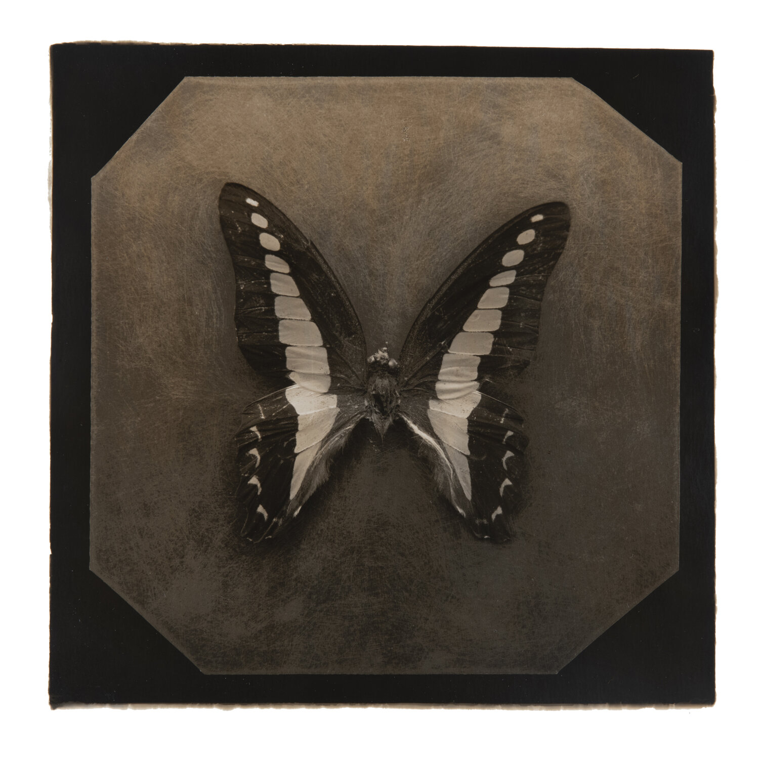 Ephemerality #1 Paul Gadd