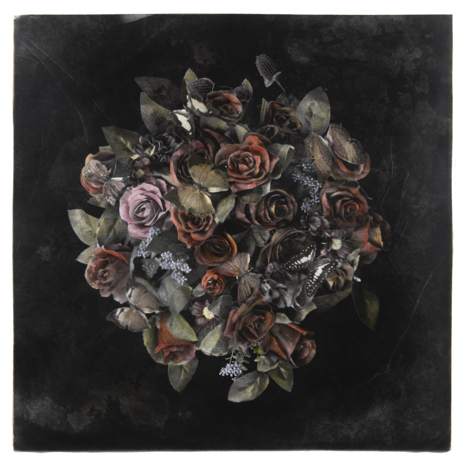 Anosmia #2 Paul Gadd