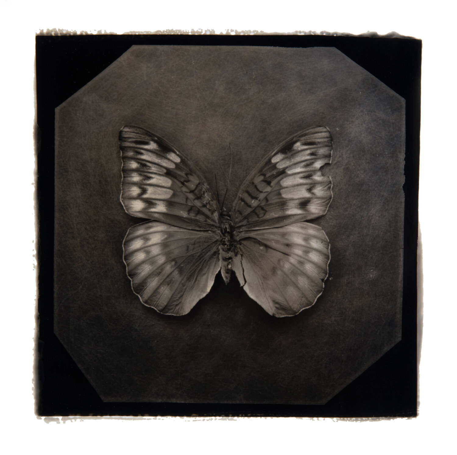 Ephemerality #23 Paul Gadd