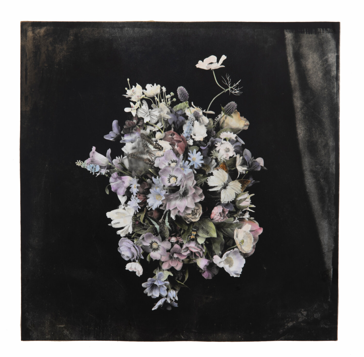 Anosmia #8 Paul Gadd