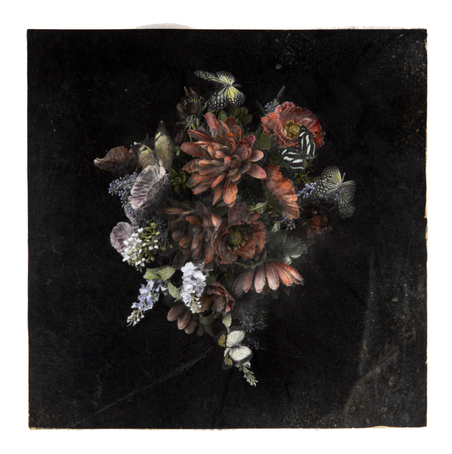 Anosmia #9 Paul Gadd