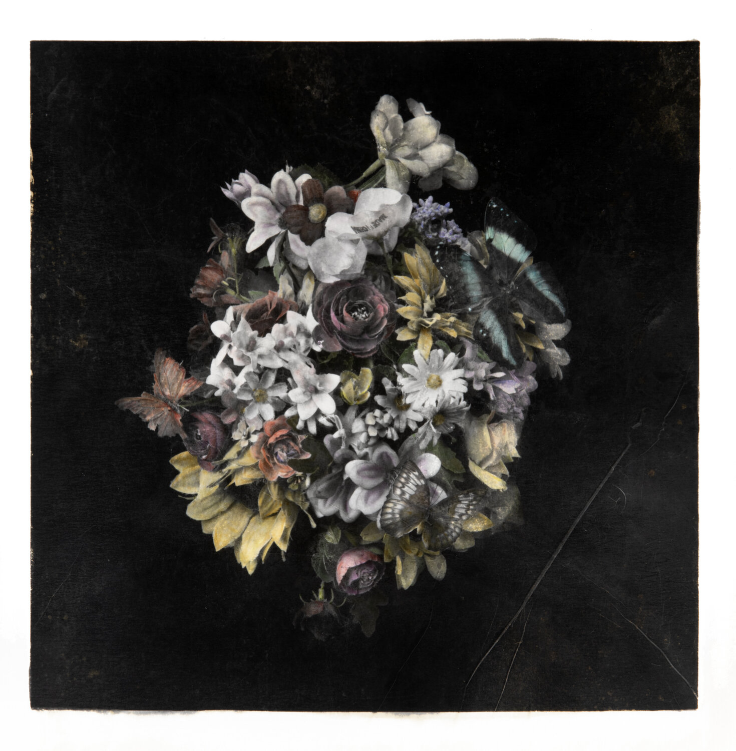 Anosmia #10 Paul Gadd