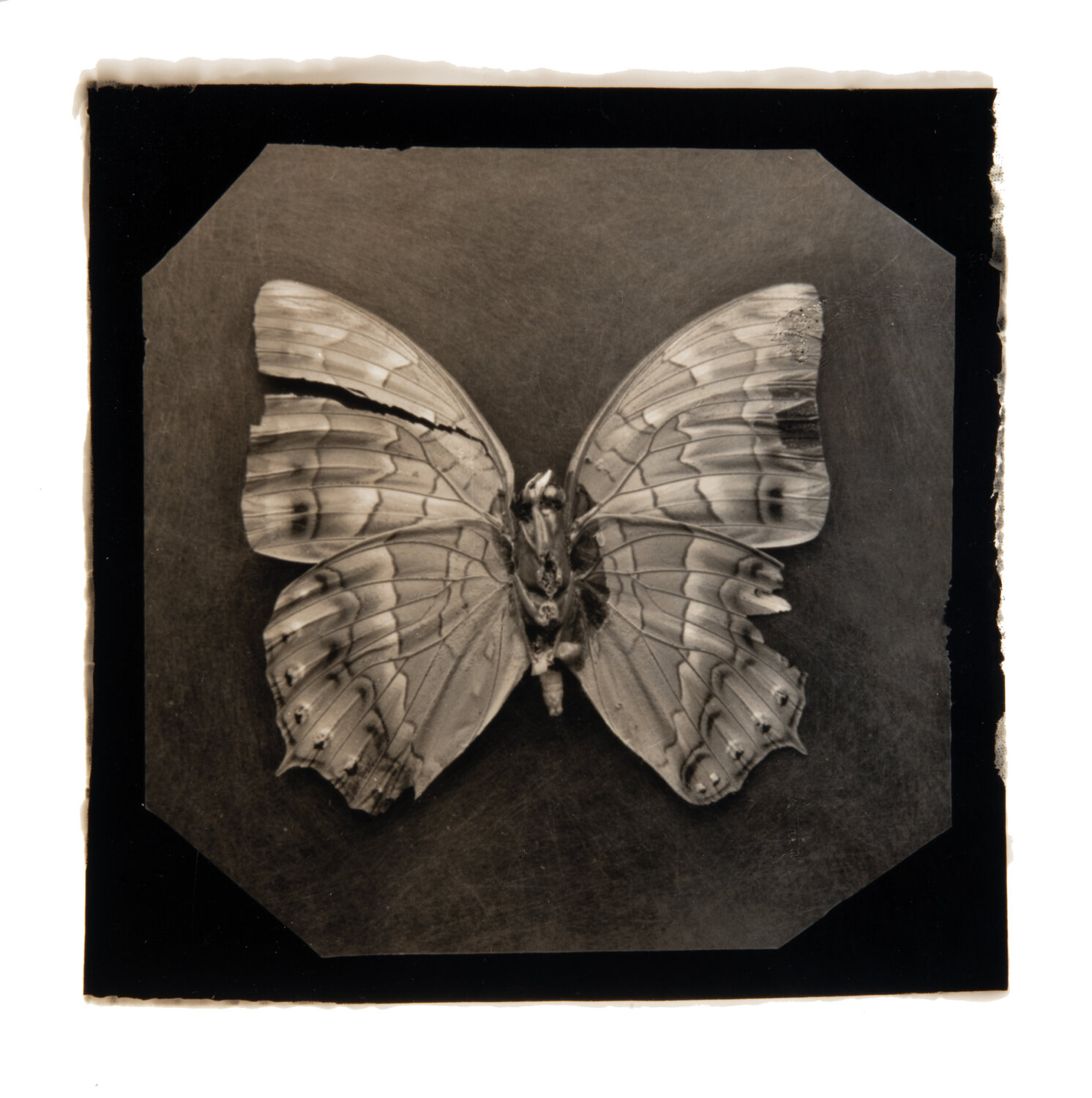 Ephemerality #16 Paul Gadd