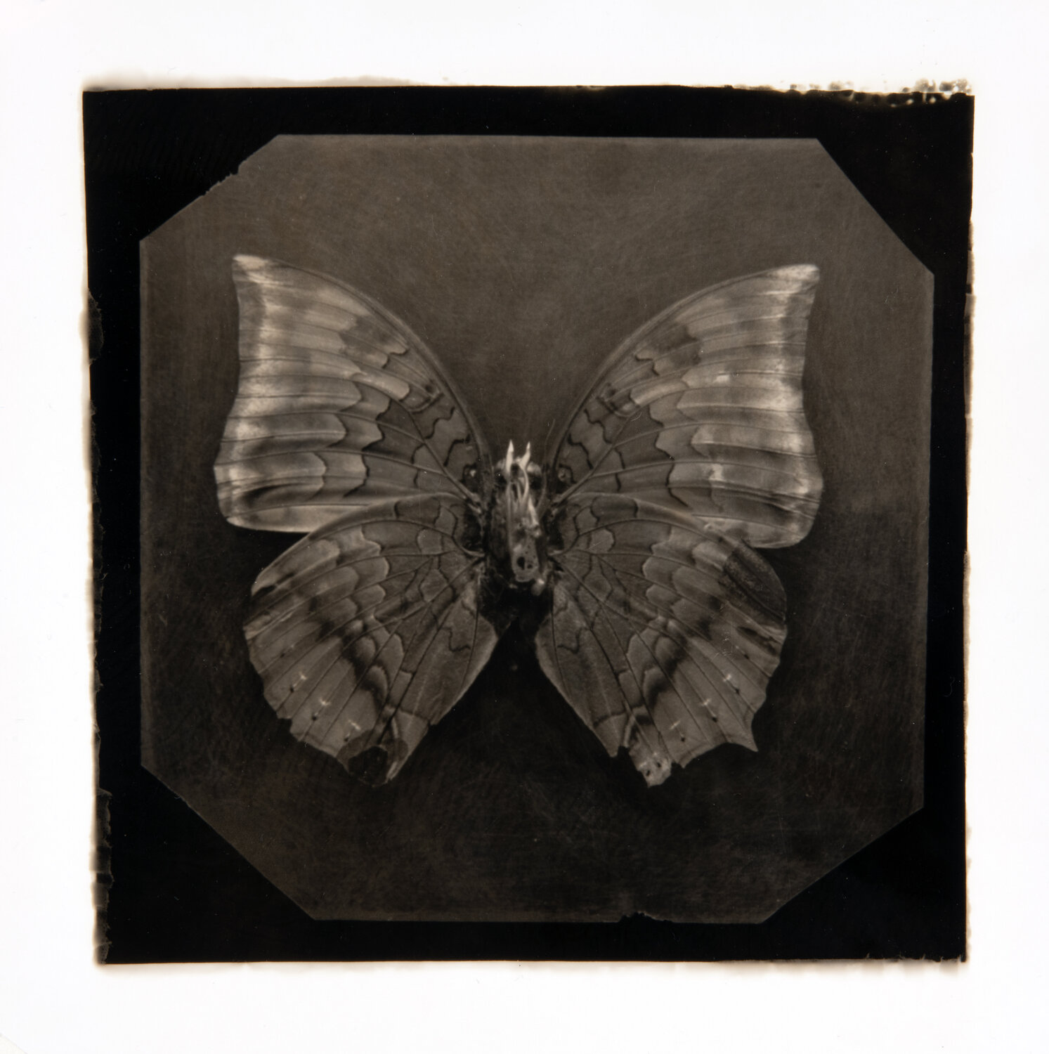 Ephemerality #32 Paul Gadd