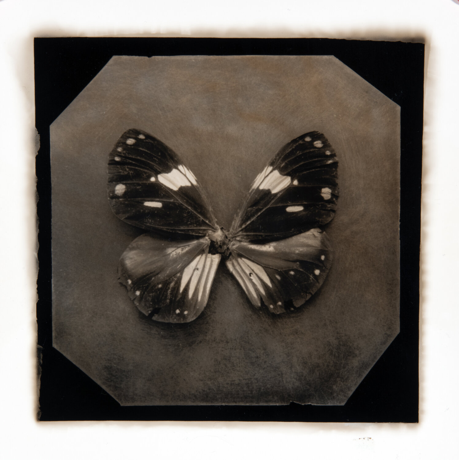 Ephemerality #62 Paul Gadd