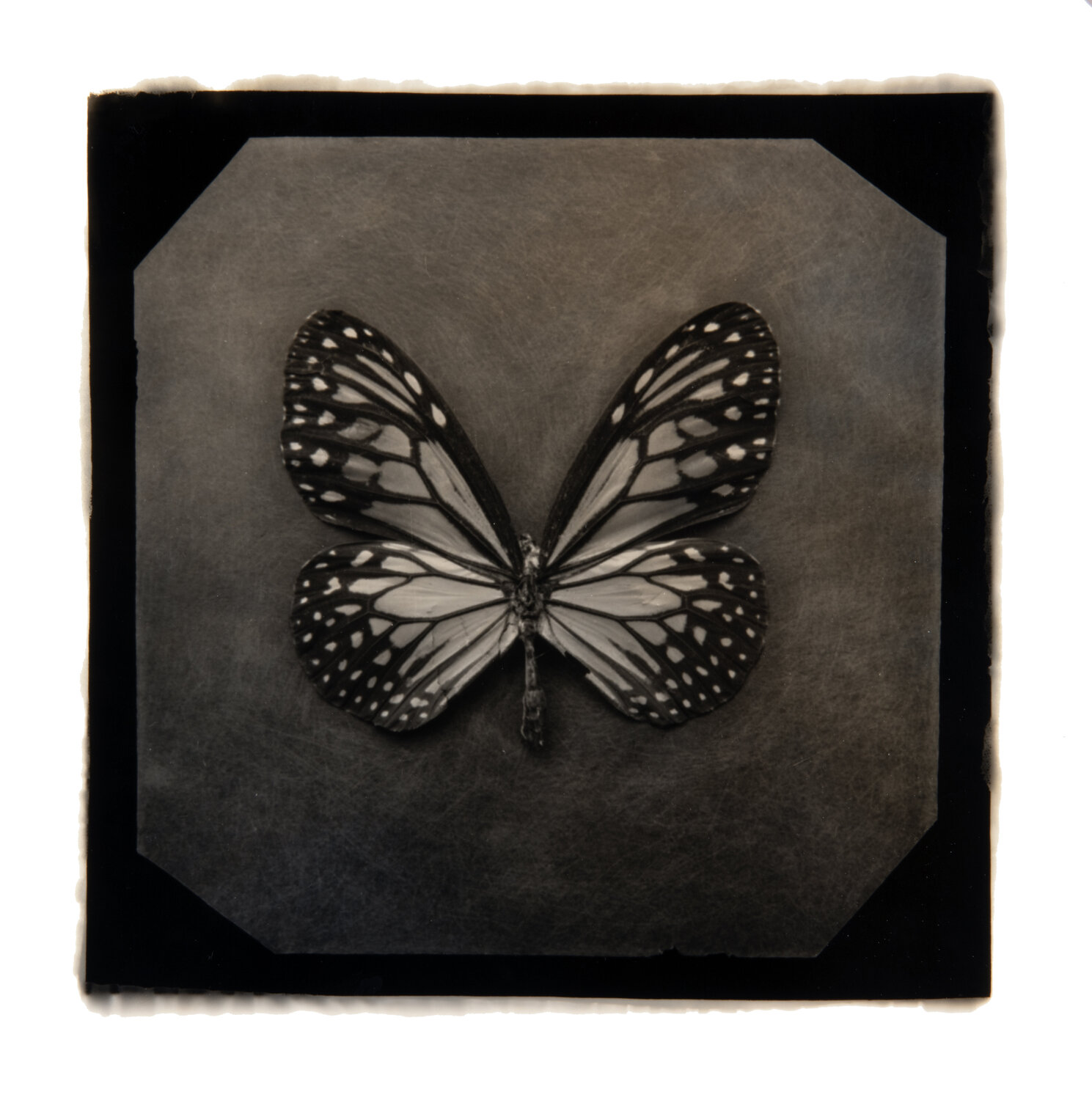 Ephemerality #57 Paul Gadd