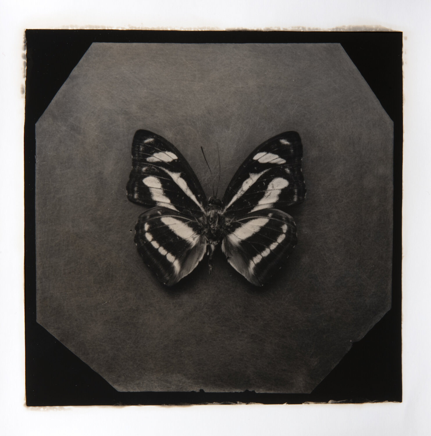 Ephemerality #43 (2nd edition) Paul Gadd
