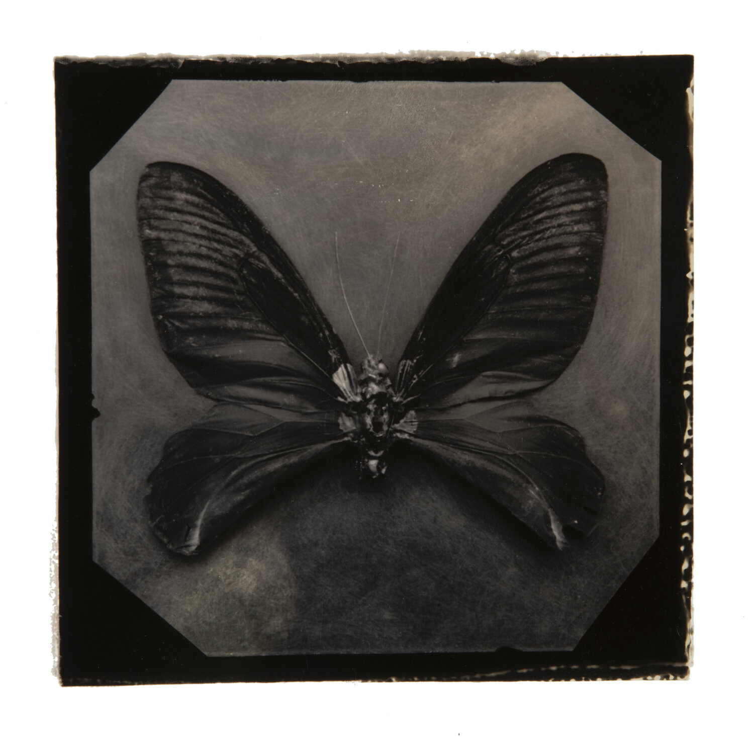 Ephemerality #28 Paul Gadd