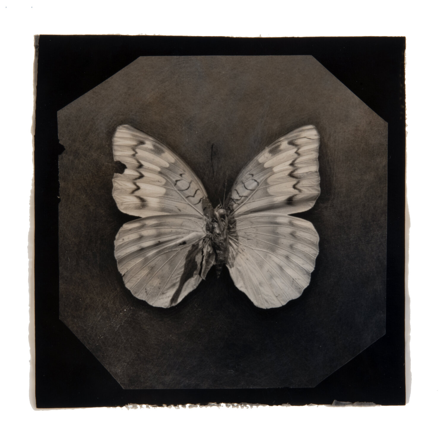 Ephemerality #24 Paul Gadd