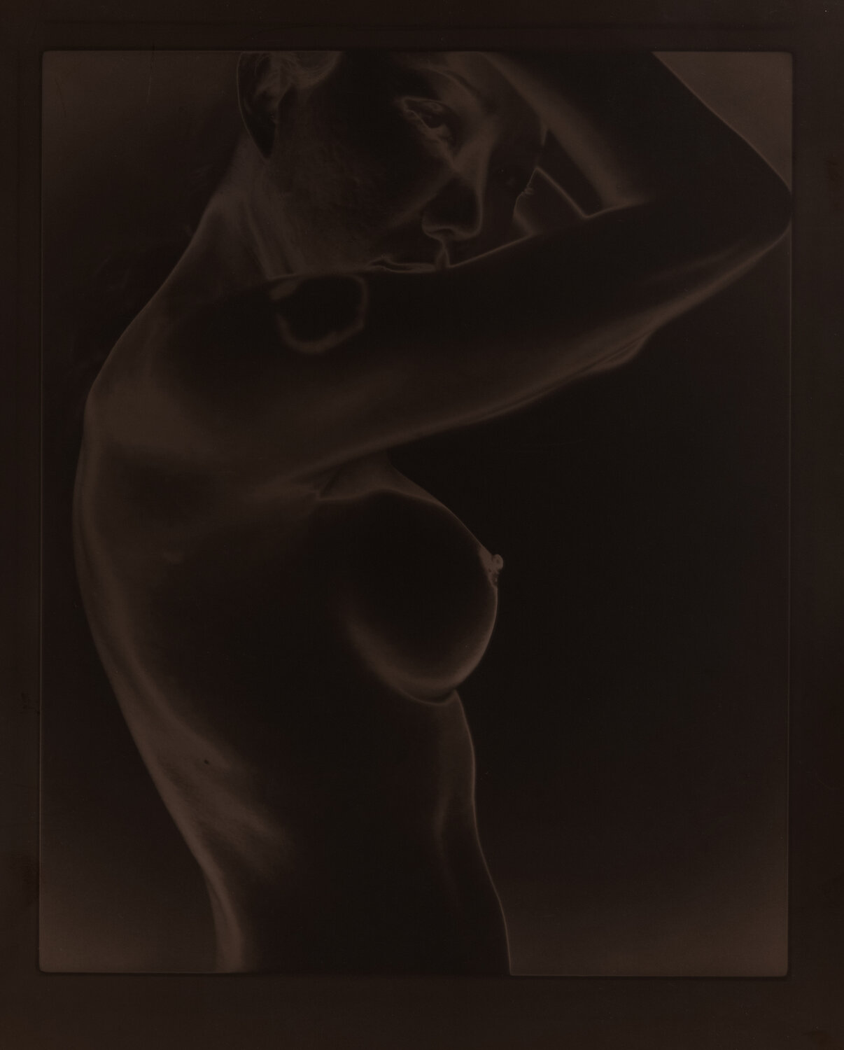 Untitled (Toned Sabattier print) Paul Gadd
