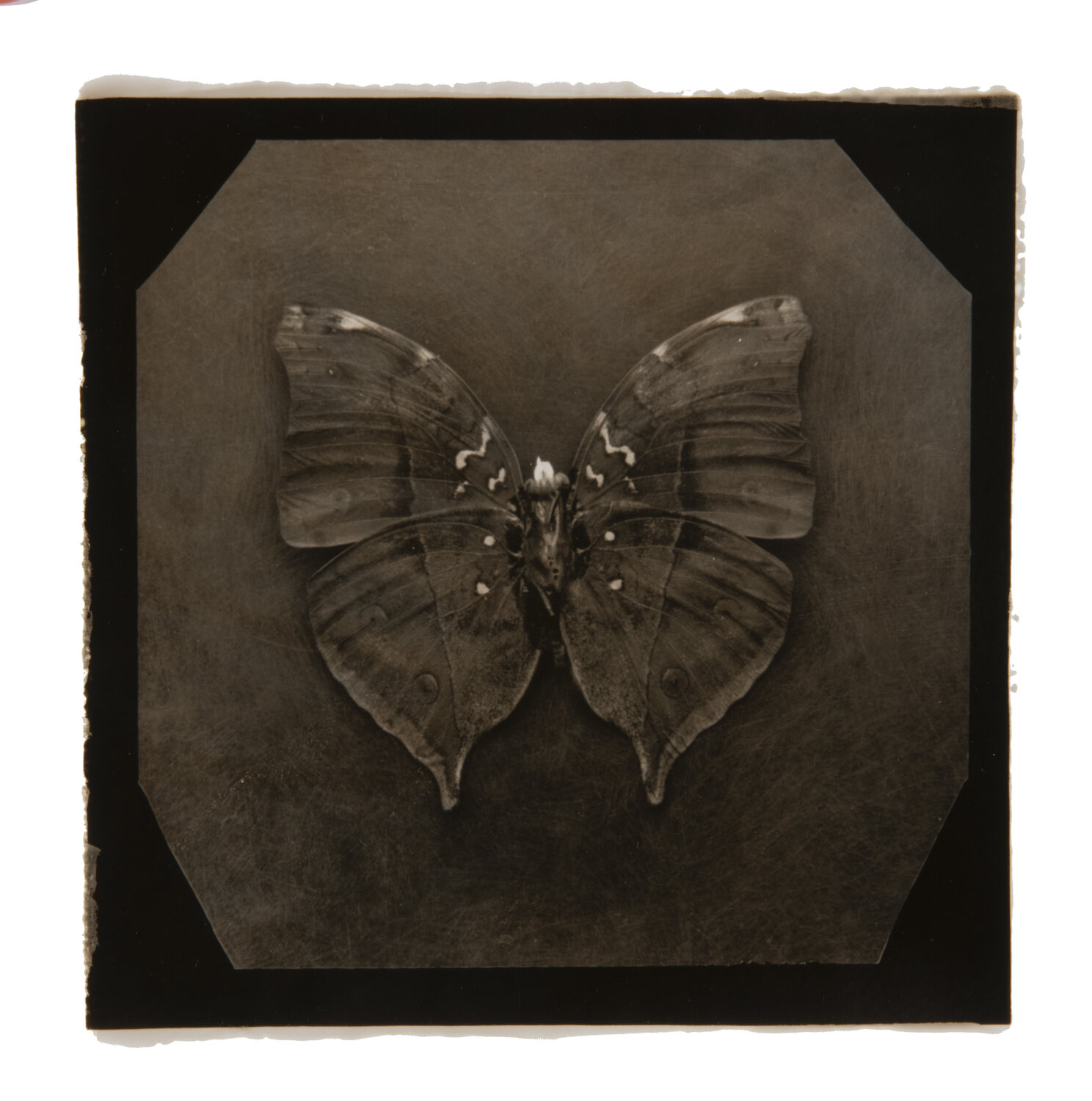 Ephemerality #40 Paul Gadd