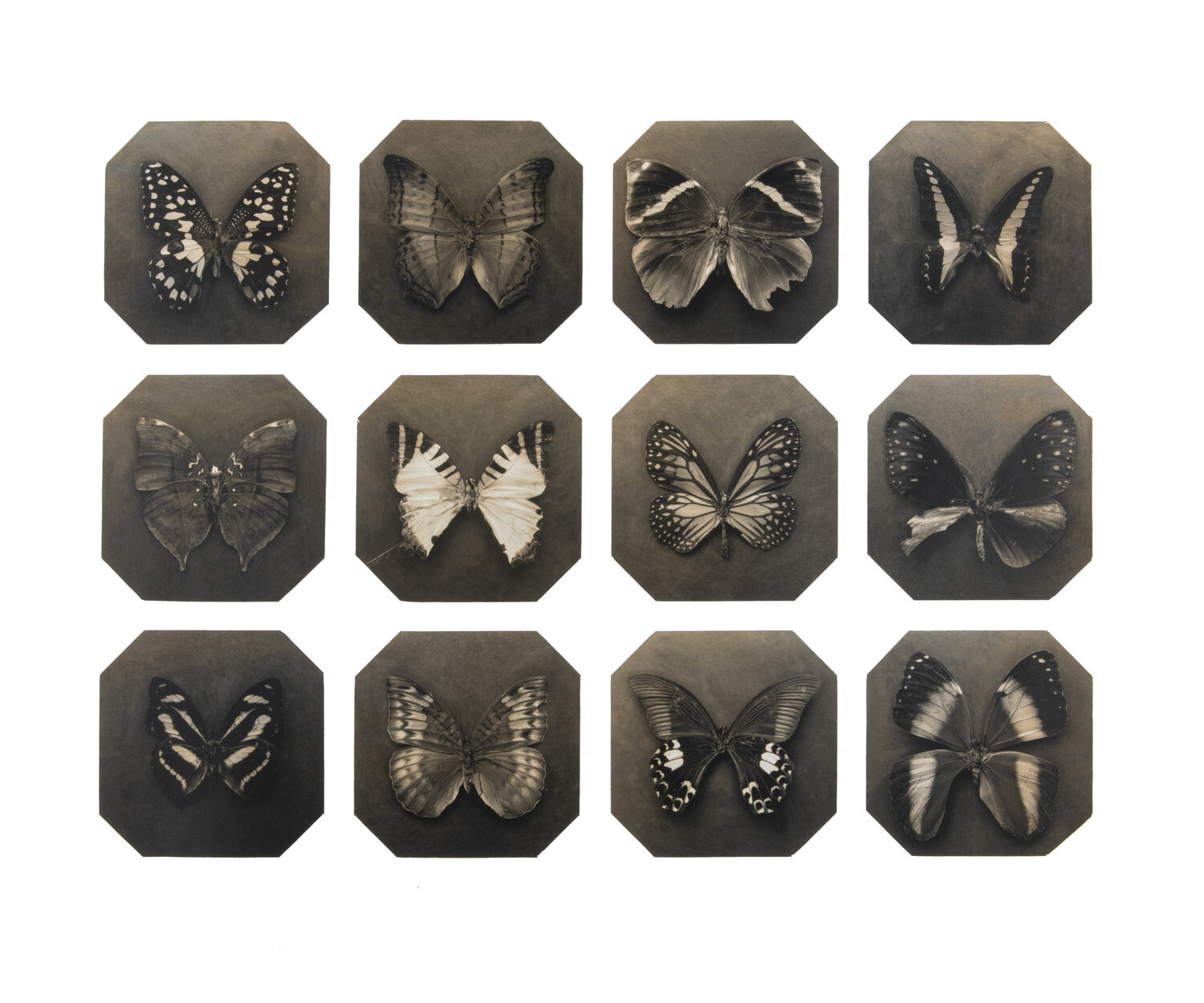 Ephemerality set A Paul Gadd