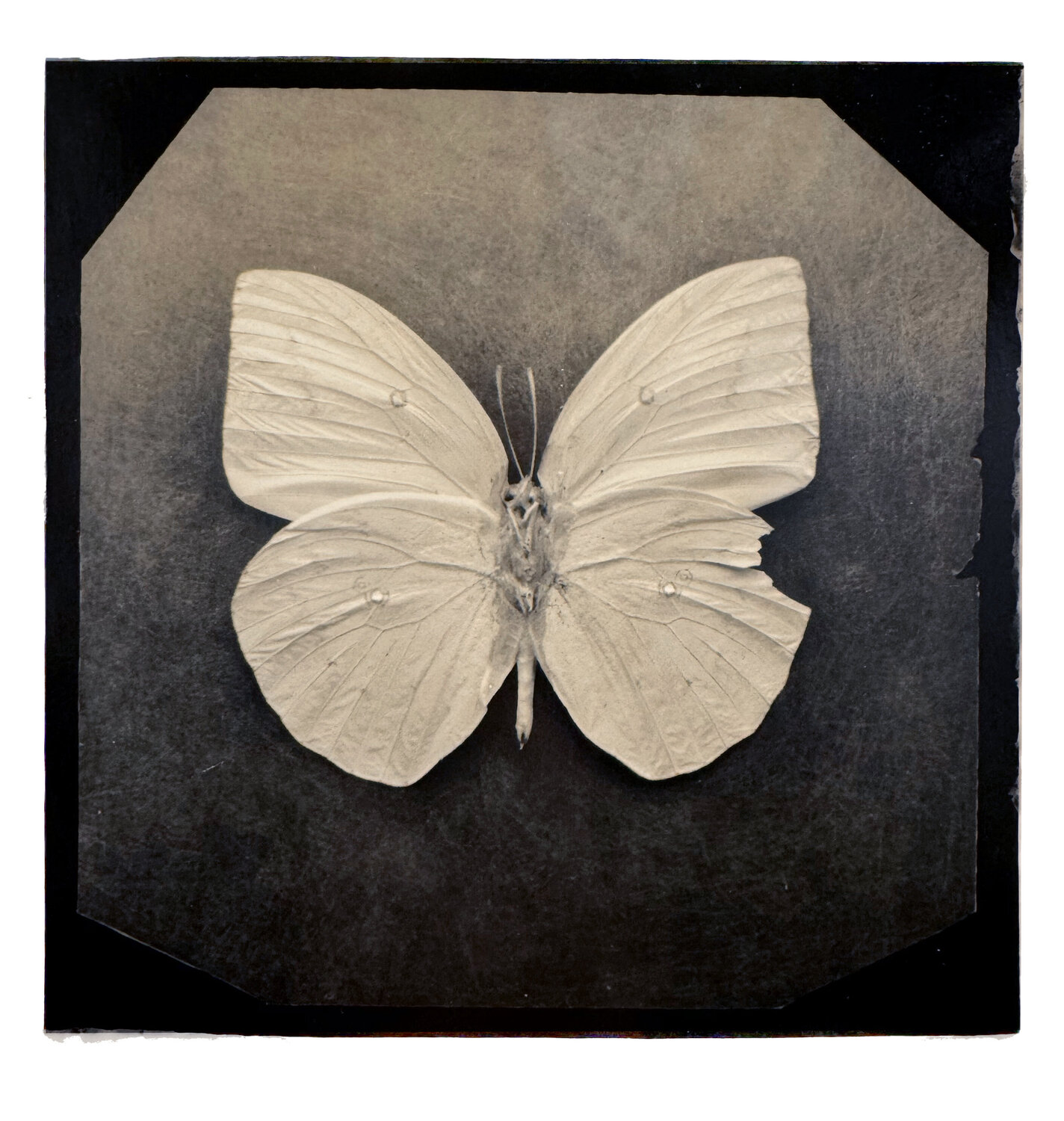 Ephemerality #22 Paul Gadd