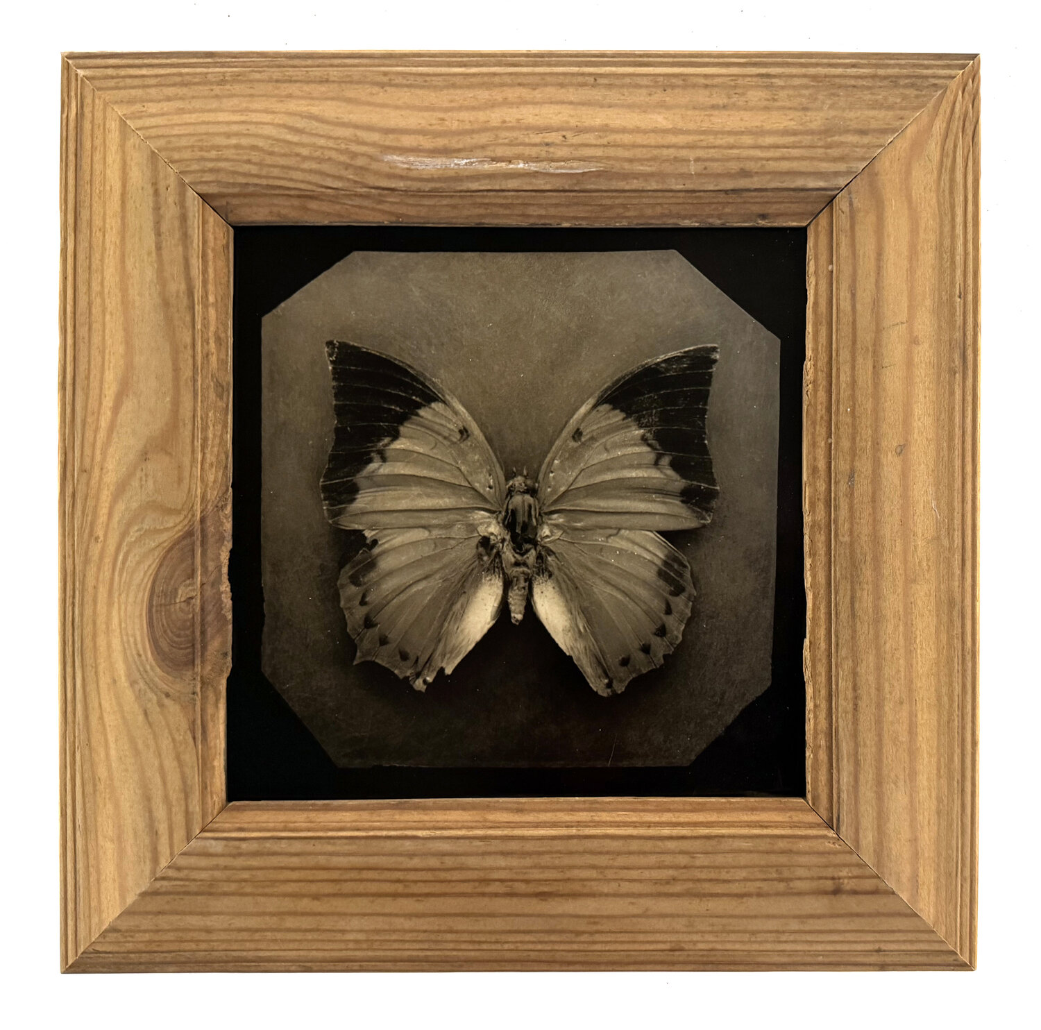 Ephemerality #31 Paul Gadd