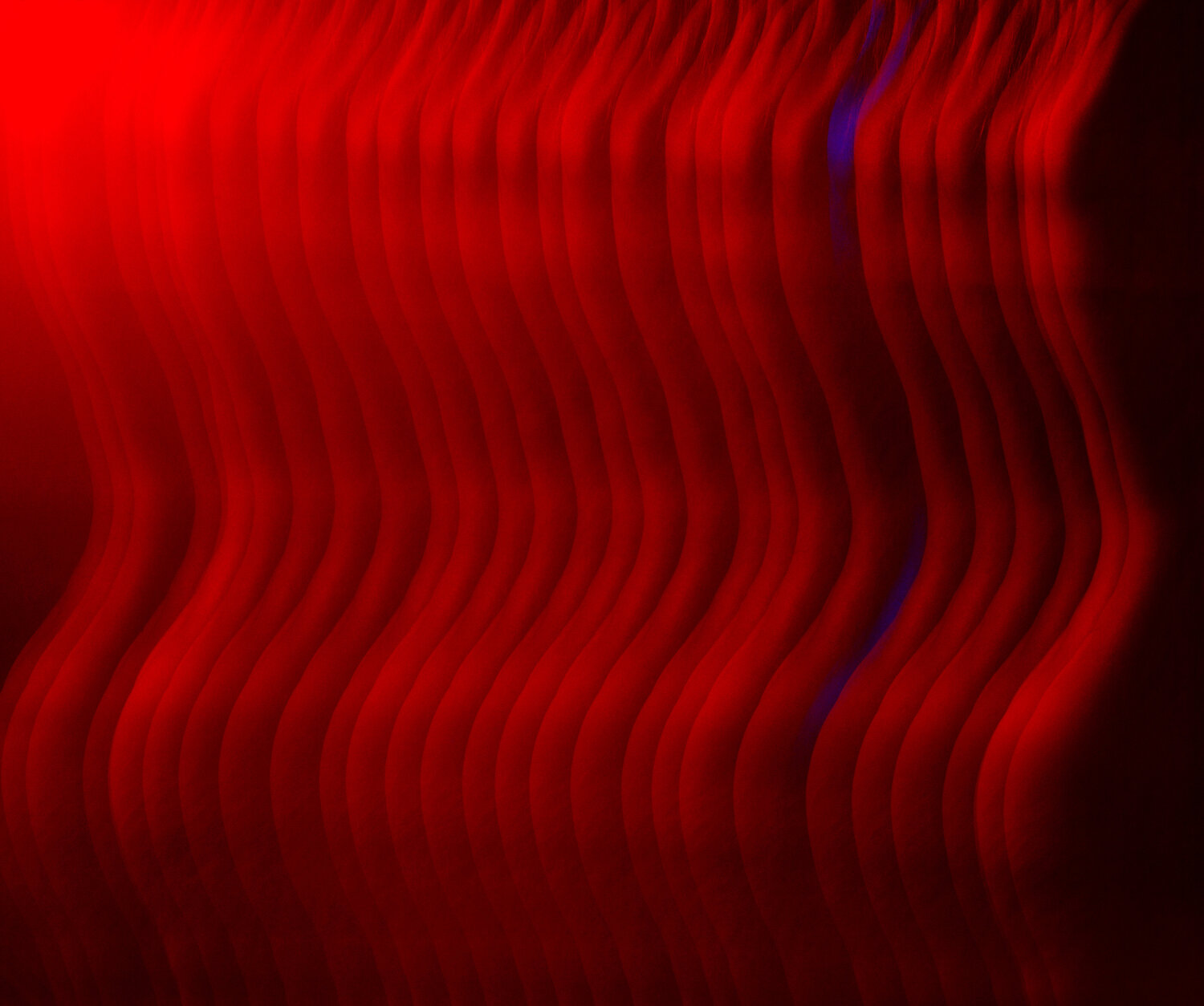 Red 29 Paul Gadd Photography for sale