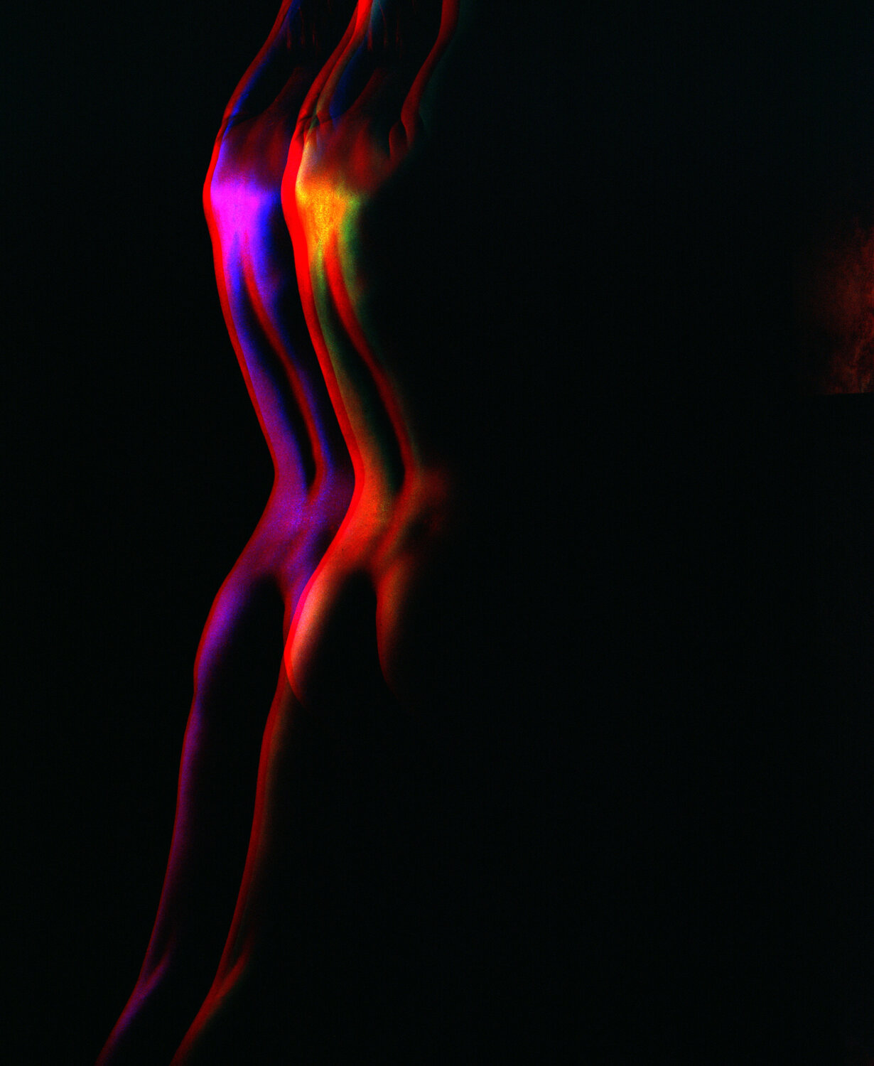 Colour model plate #3 Paul Gadd Fotografie zu verkaufen