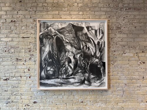 Tradescantia Zebrina I von Luke Jackson, Zeichnungen kaufen auf Singulart