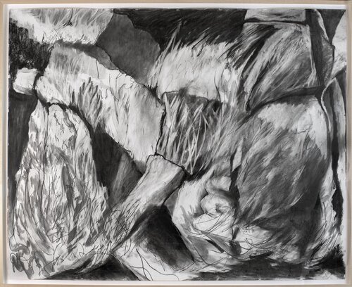 Tradescantia Zebrina II von Luke Jackson, Zeichnungen kaufen auf Singulart