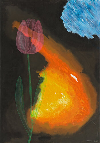 Tulipan Demi van Anne Dohrenkamp, Schilderij te koop op Singulart