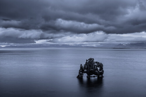 DRINKING ELEPHANT von Tom Jacobi, Fotografie kaufen auf Singulart
