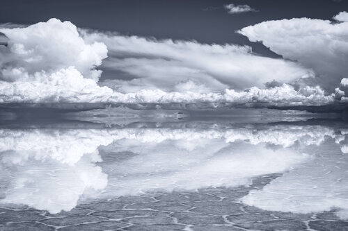 FORCIPATE by Tom Jacobi, Photography for Sale on Singulart