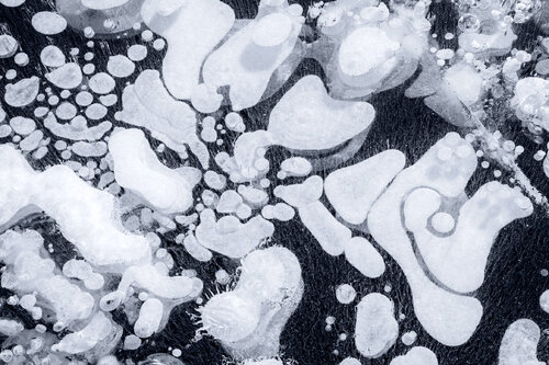 FROZEN BUBBLES V by Tom Jacobi, Photography for Sale on Singulart
