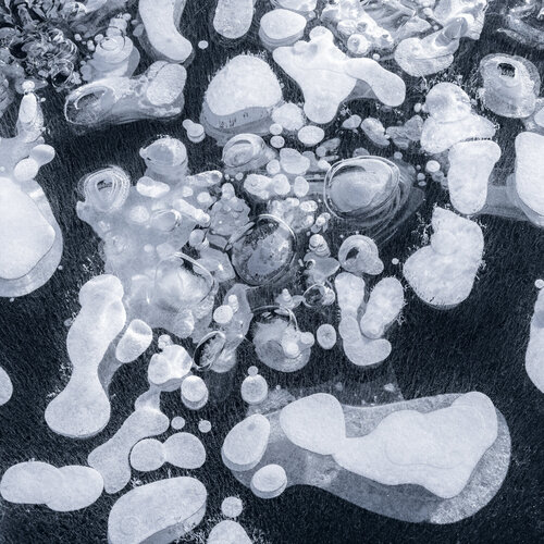 FROZEN BUBBLES X Tom Jacobi