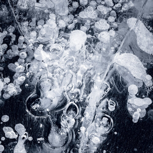 FROZEN BUBBLES XXV Tom Jacobi