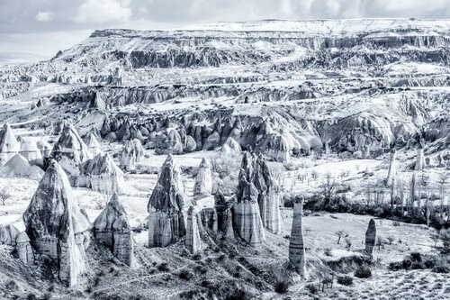 FROZEN GUARDIANS von Tom Jacobi, Fotografie kaufen auf Singulart