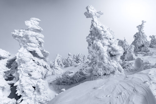 NORTHERN CROSS von Tom Jacobi, Fotografie kaufen auf Singulart