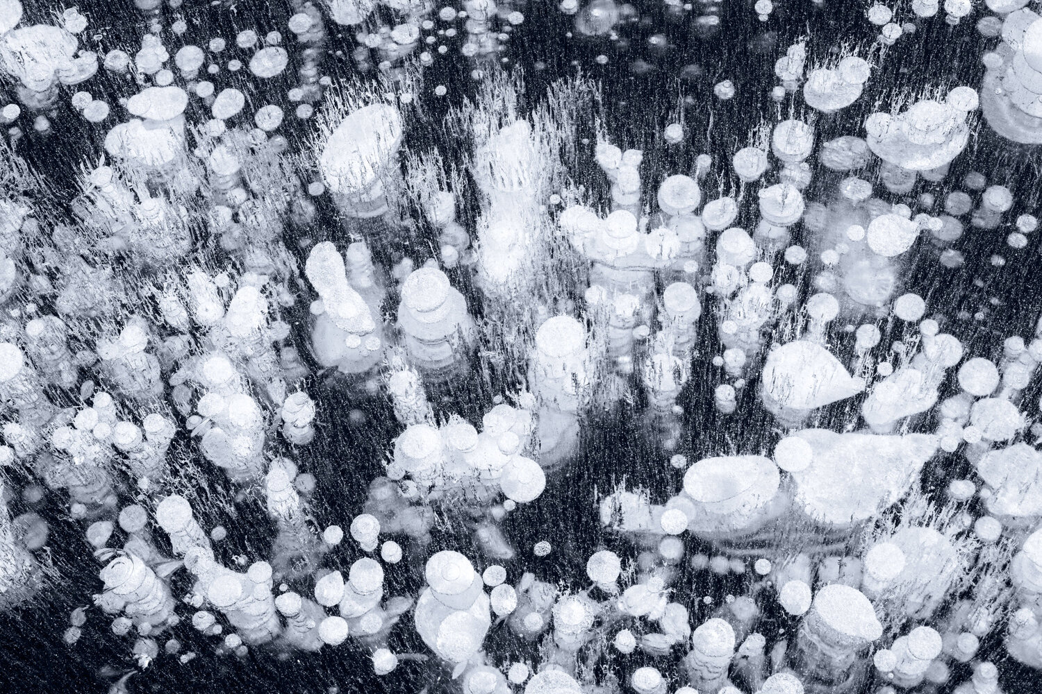 FROZEN BUBBLES III Tom Jacobi