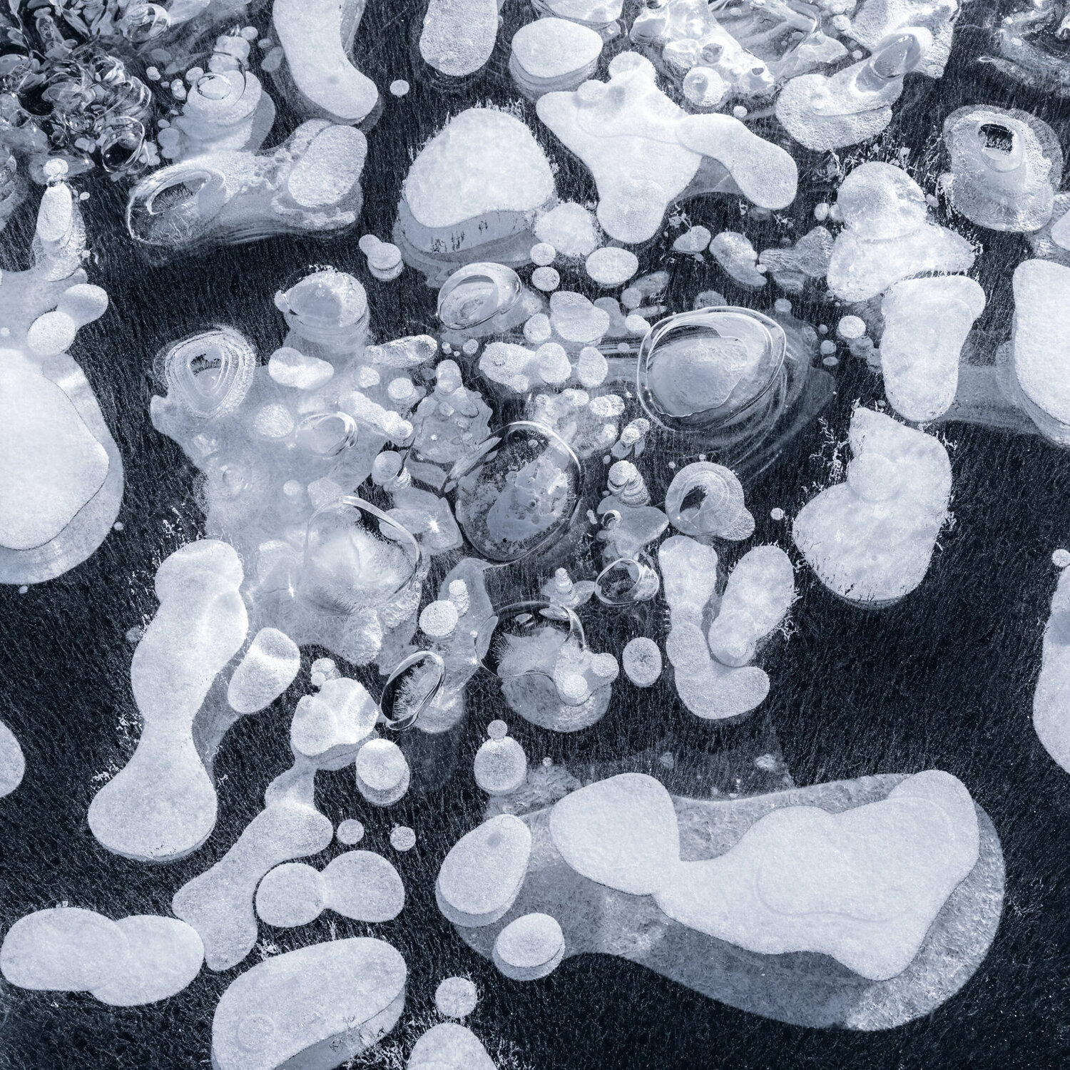 FROZEN BUBBLES X Tom Jacobi